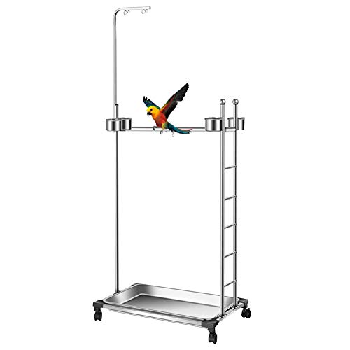 Olpchee Stainless Steel Large Parrot Stand,Bird Play Stand Parrot Playstand Parrot Training Perch Stand with Feeding Bowls,Height 57 Inch (Does Not Tnclude Toys)