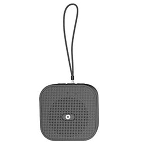 koryo speaker with mic