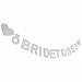 LINGTEER Bride to Be Silver Glitter Bunting Banner Bachelorette Party Shower Gift - Bridal Accessories - Wedding Gift Party Decorations Sign Supplies