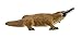 Safari Ltd. Platypus Figurine - Detailed 4.75
