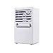 LOHOME Desktop Humidifier Fan - Personal Space Air Conditioner Cooler - Quiet Spray Humidifier Cooler Fan for Summer
