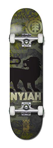 Element Nyjah Texture Complete