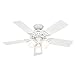 Hunter Stonington 46 in. Indoor White Ceiling Fan
