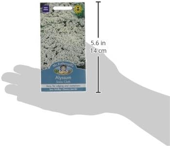 Mr. Fothergill's 15492 Alyssum Snow Cloth, White, 20 cm - Image 4