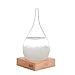 Storm Glass Weather Station Old Captain FitzRoy's Storm cloud Barometers Crystal Weather Forecast Bottle Desktop Decorative Bottles Crafts (M)