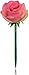 Trendzy Dezigns Flower Pens Set of 5 Rose Ballpoint Pen for the Office, Teacher, Birthday, Wedding favors