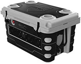 wet sounds cooler stereo