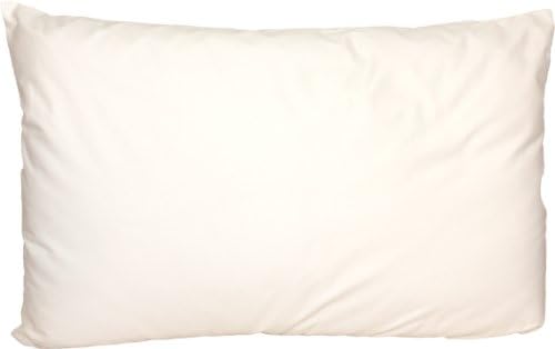 White Loft Top Quality Long Fiber Mulberry Silk Filled Cotton Cased Pillow, 20 by 30 Inches, Queen