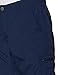 Columbia Men's Silver Ridge Cargo Pant