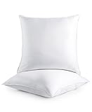 Splendid Collection Euro Pillow 28x28 Set of 2 - Euro Pillow Insert for Indoor/Outdoor Pillow, Decorative Bed Pillow Shams - Hypoallergenic, Down Alternative Fill