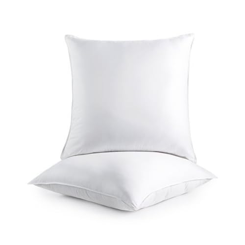 Splendid Collection Euro Pillow 28x28 Set Of 2 Euro Pillow