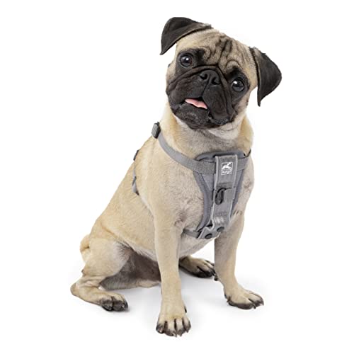Kurgo Tru-Fit Smart Harness, Grey, Small
