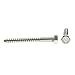 Prime-Line 9055724 Hex Lag Screws, 5/16 In. X 3 In., Grade 18-8 Stainless Steel (15 Pack)