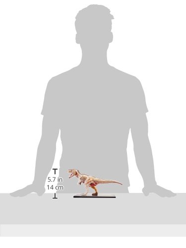 Famemaster 4D Vision T-Rex Anatomy Model