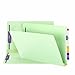 Smead End Tab Pressboard Fastener File Folder with SafeSHIELD Fastener, 2 Fasteners, 2