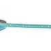 KaLeido Women's Plaque Buckle Solid Color Skinny Waist Belt (24-28, Black)