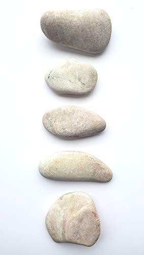 3 Capcouriers+Abstract+Violet+Light+Painting