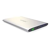 VINSIC 20000mAh Power Bank, Dual USB Portable External Big Size Battery Charger for Smartphones and Tablet PC, Silver