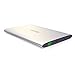 VINSIC 20000mAh Power Bank, Dual USB Portable External Big Size Battery Charger for Smartphones and Tablet PC, Silver