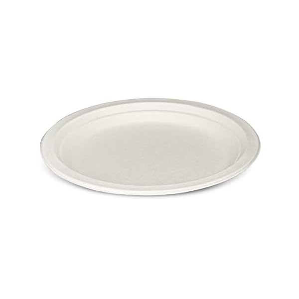 Comfy Package 100% Compostable 9 Inch Heavy-Duty Plates [125 Pack] Eco-Friendly Disposable Sugarcane Paper Plates