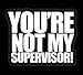 Archer You're Not My Supervisor Decal Vinyl Sticker|Cars Trucks Vans Walls Laptop| White |5.5 x 3.5 in|LLI182
