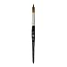 Princeton Elite NextGen Artist Brush, Series 4850 Synthetic Kolinsky Sable for Watercolor, Round, Size 16