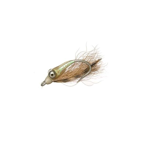 Wetfly-Epoxy-Charlie-Fly-Fishing-Flies-1-Dozen