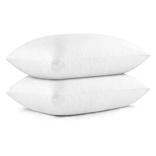 EIUE 20 x 30 Inches Bed Pillows 2 Pack Queen Size,Pillows for Side and Back Sleepers,Super Soft Down Alternative Microfiber Filled Pillows,White