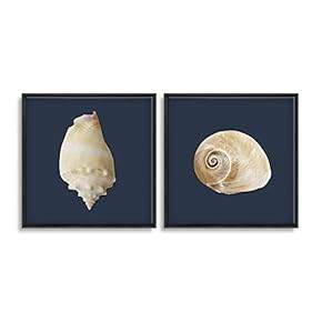 2 Piece Framed Canvas Wall Art for Living Room, Bedroom Conch Theme Canvas Prints for Home Decoration Ready to Hang - 16"x16"x2 Panels