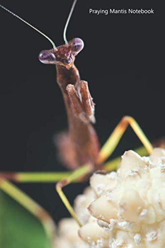 Praying Mantis Notebook: Portable lined Praying Mantis - Travel Journal to write in - 120 pages - 6"x9"