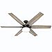 Hunter Fan 64 inch Casual Nobel Bronze Indoor Ceiling Fan with Light Kit and Remote Control (Renewed)