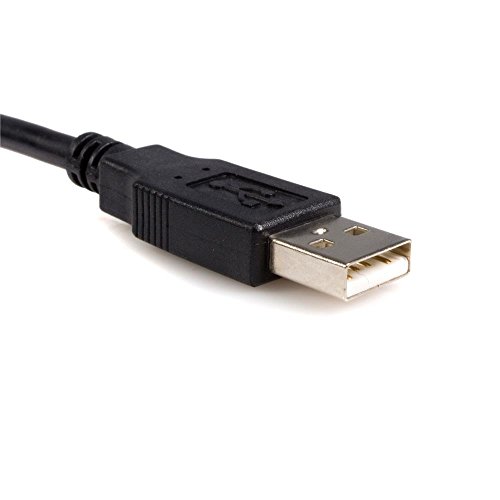 StarTech 6-Feet USB to Parallel Printer Adapter - M/M (ICUSB1284)