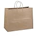 50 Paper Retail/Shopping Bags KRAFT with Rope Handles 16x6x12 TOTE