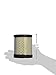 Stens 102-032 Air Filter