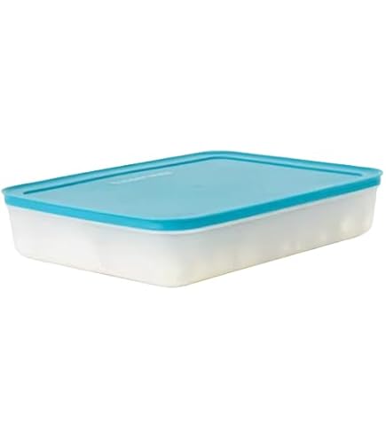 Amazon.com: New Tupperware Tupperware Freezer Mates Plus Extra