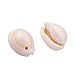 Craftdady 9-12mm Natural Spiral Sea Shell About 120-150Pcs Tiny Cowrie Beach Seashells for Summer Ocean Jewelry Making Fish Tank Vase Filler Decor Hole: 1-2mm