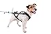 Non-stop dogwear Freemotion Harness: Padded for Active Dogs, Canicross, Skijoring & Bikejoring (9)