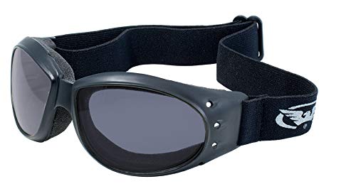 Global Vision Eyewear Eliminator Goggles with Micro-Fiber Pouch, Smoke Lens