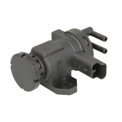 Magneti Marelli 571822112074 Valvola EGR Citroen, Peugeot