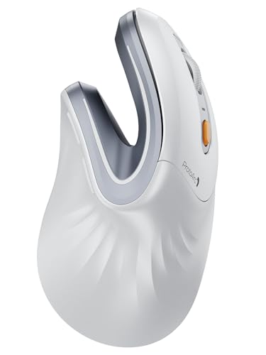 ProtoArc EM11 NL Kabellos Bluetooth5.0 Ergonomische Vertikale Maus