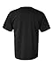 Comfort Colors By Chouinard Adult Ring-Spun Tee (Black) (2X)