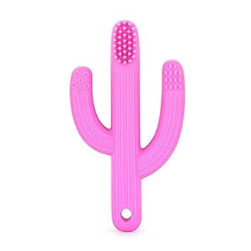 cactus baby teether