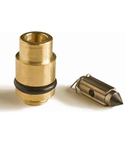 Amazon.com: SBT Mikuni SBN Replacement Needle & Seat for Sea