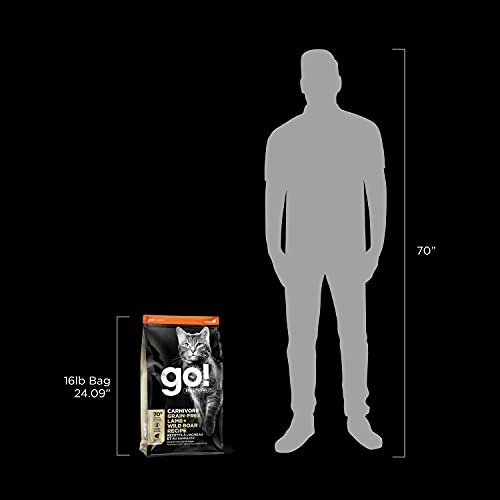 GO! SOLUTIONS CARNIVORE GRAIN FREE DRY CAT FOOD, 16 LB – LAMB + WILD BOAR RECIPE – PROTEIN RICH DRY CAT FOOD – COMPLETE + BALANCED NUTRITION FOR ALL LIFE STAGES