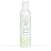 The Wonder Seed Hemp Shampoo - All Natural Organic Formula - Vegan Friendly Blend - Best Solution for Dry Itchy Scalp/Dandruff/Oily Hair & More - Proudly Cruelty Free (Green Tea) 8oz