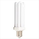 Cooper Lighting #B65FMOG 65W Mogul Fluorescent Light Bulb