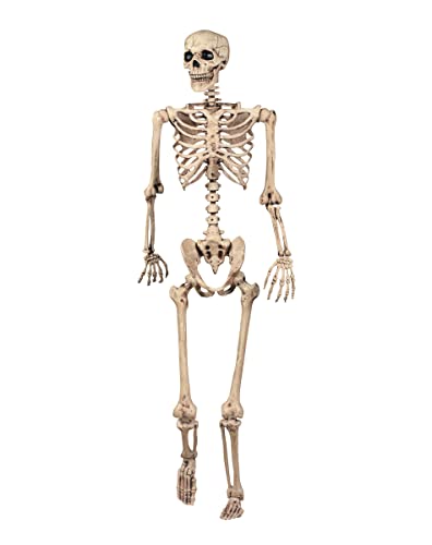 Spirit Halloween 5 Ft Pose 'N' Stay Skeleton| Life Size| Decoration| Halloween Decoration | Posable Prop