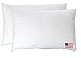 Deluxe Home Gel Fiber Pillows - Ultra Plush Down Alternative Pillows Super Soft, Cloud-Like Hypoallergenic .9 Micro Denier Filled Pillows Crafted in The USA(Queen 2-Pack, Extra Soft) Guarantee