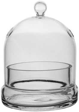 Terrarium Cloche Planter