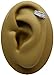 Feather Tragus Earring Cuff-BioPlastic Labret Stud-Push In Cartilage Earring Cuff -18 gauge